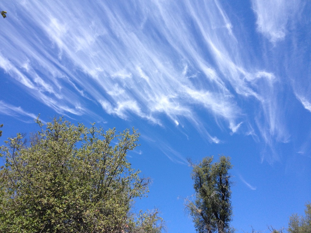 Mares' tails clouds