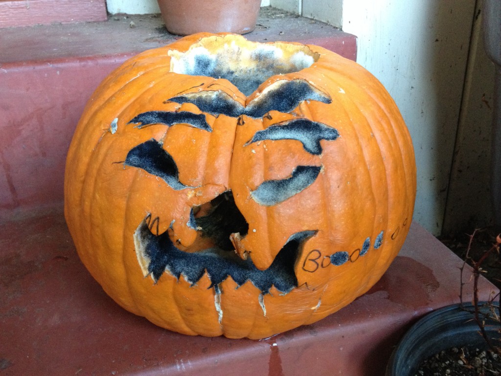 Rotting pumpkin 1