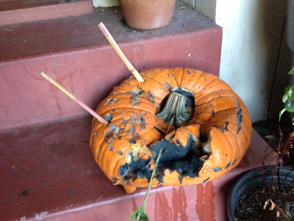 Rotting pumpkin 3