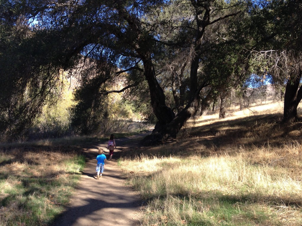 Kids hiking in oak grove