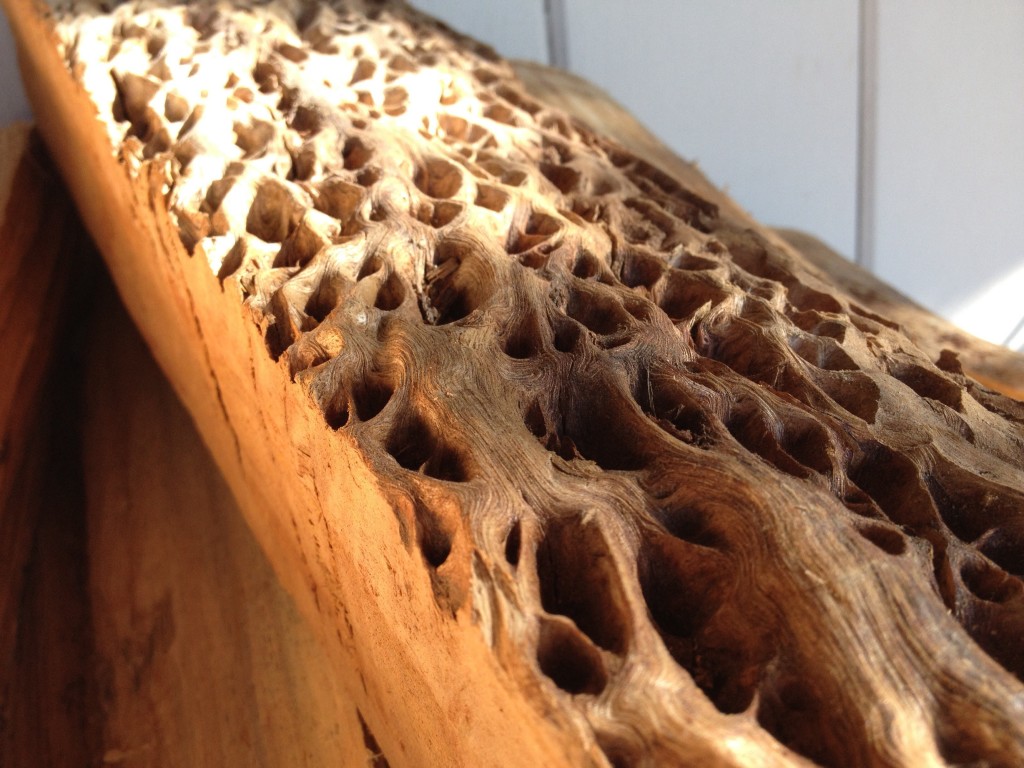 Textured wood