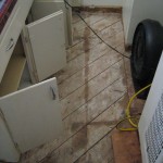 Bathroom floor bare