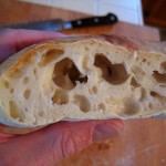 Updated no-knead ciabatta crumb