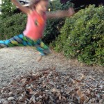 CH leaf jumping