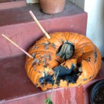 Rotting pumpkin 3