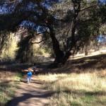 Kids hiking in oak grove