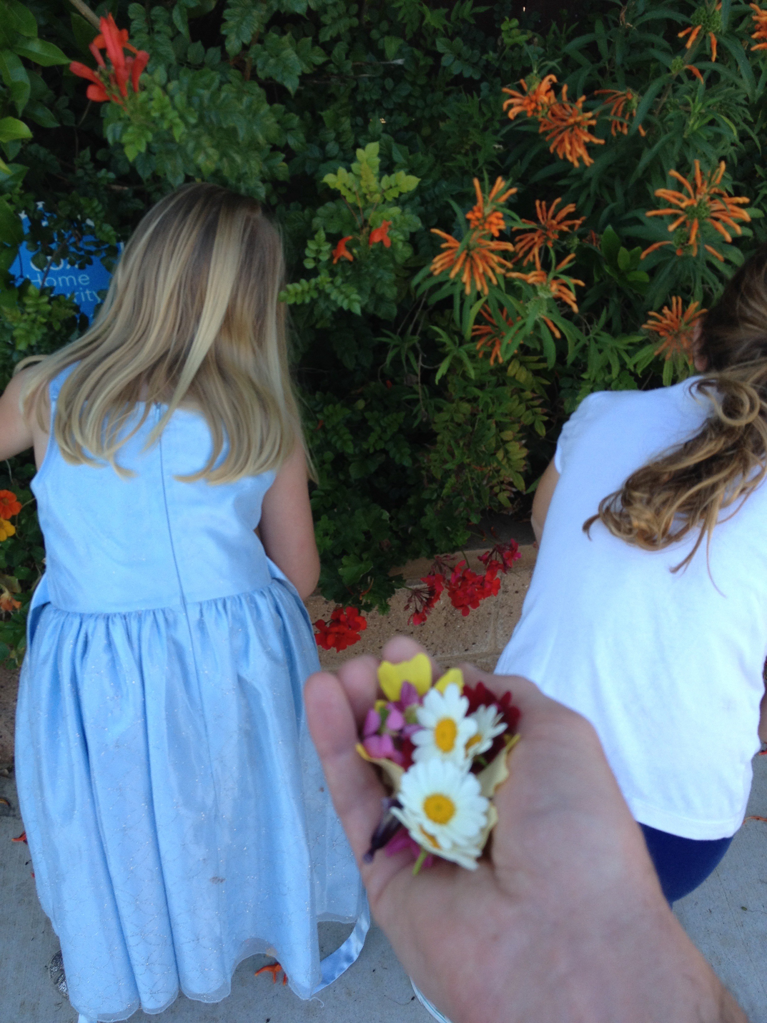 Girls picking flowers
